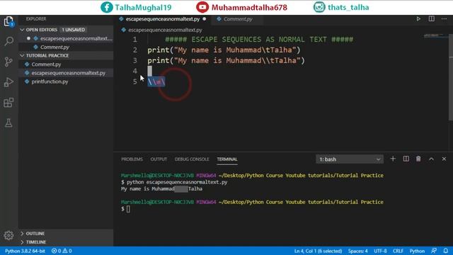 010 Escape Sequences as Normal Text | Complete Python tutorial in Hindi/Urdu смотреть онлайн