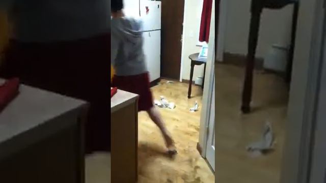 The Admiral's Clean Dancing смотреть онлайн