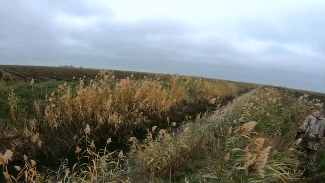 Охота на уток.Отличные выстрелы, охотимся на рисовых чеках.Hunting смотреть онлайн