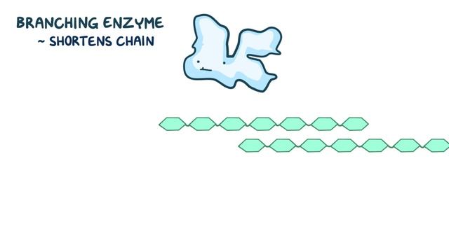 Glycogen metabolism.mp4 смотреть онлайн
