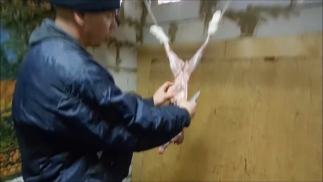 Разделка и подготовка кролика к продаже смотреть онлайн