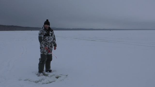 ФЛАЖКИ ВСТАЮТ ОДИН ЗА ОДНИМ!!! ЩУКА НЕ ДАЁТ ЛОВИТЬ ОКУНЯ!!! ЗИМНЯЯ РЫБАЛКА 2021-2022!!! смотреть онлайн