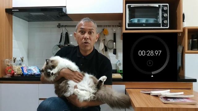 Durasi Gendong Kucing Ragdoll смотреть онлайн