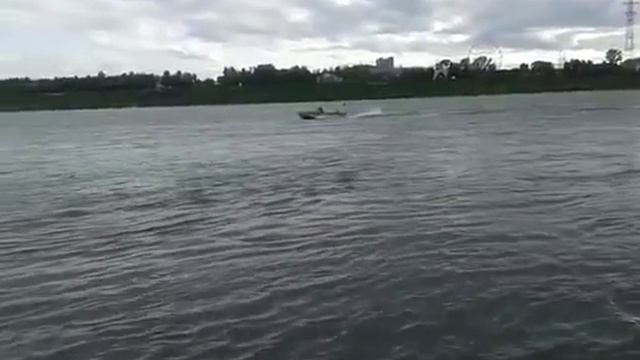 Практические занятие по судовождению в ВОСВОДе смотреть онлайн