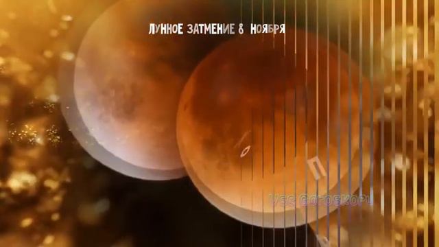 Лунное затмение в Тельце 2022г. Чего ожидать? #астрология #астролог #телец #затмения2022года смотреть онлайн