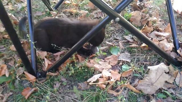 закрытие сезона 2023 с Дэном смотреть онлайн