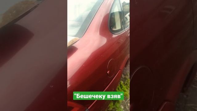 Бмв чи Опель вектра б смотреть онлайн