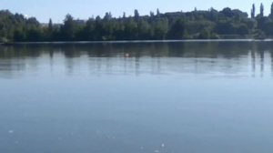 ЛОВЛЯ НА КРУЖКИ, КАРП И КАРАСЬ ЛЮБИТ ЭТУ СНАСТЬ, клюёт дуплетом