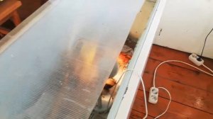 Брудер для цыплят из холодильника