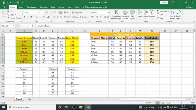 How to Use Format Painter in Excel 2010 / 2013 / 2016 / 2019 in Hindi смотреть онлайн