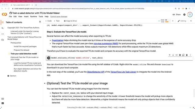 On-device object detection: Train and deploy a custom TensorFlow Lite model смотреть онлайн