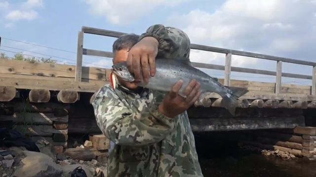 Рыбалка на горбушу блесной sv fishing metal twitch смотреть онлайн