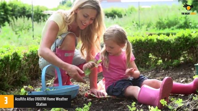 Top 5 Best Home Weather Stations in 2022 смотреть онлайн