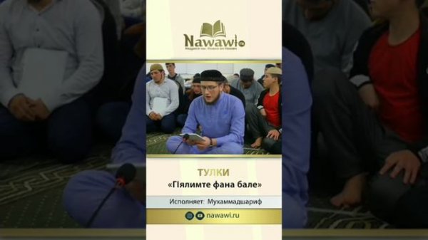 Тулки.Губден