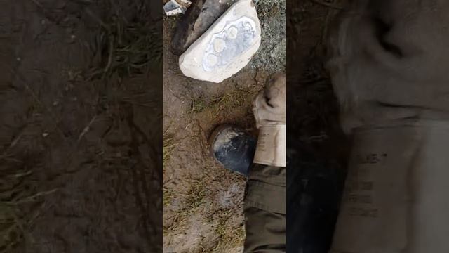 Чичи мичи смотреть онлайн