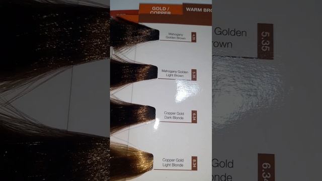 Loreal Majirel Haircolor Shade Card