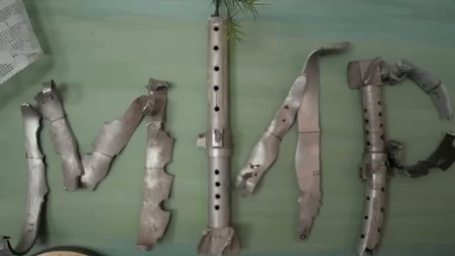 От прилета до прилета...