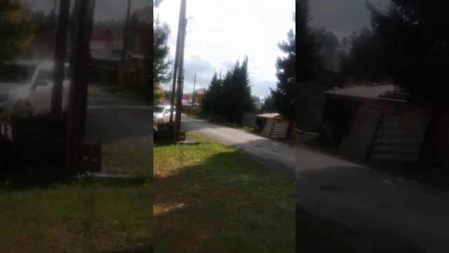 Калина красная! #калина #калинакрасная #ягоды смотреть онлайн
