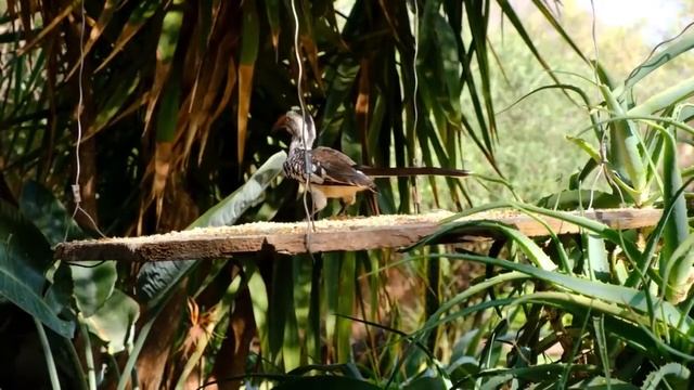 Релакс Классика в современной обработке смотреть онлайн