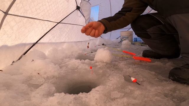 Приморский край. Морская рыбалка. Навага. смотреть онлайн