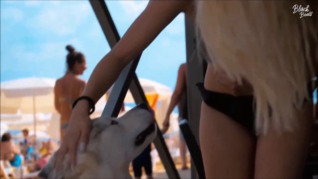 Zell & Nard X Адлер Коцба - Remember