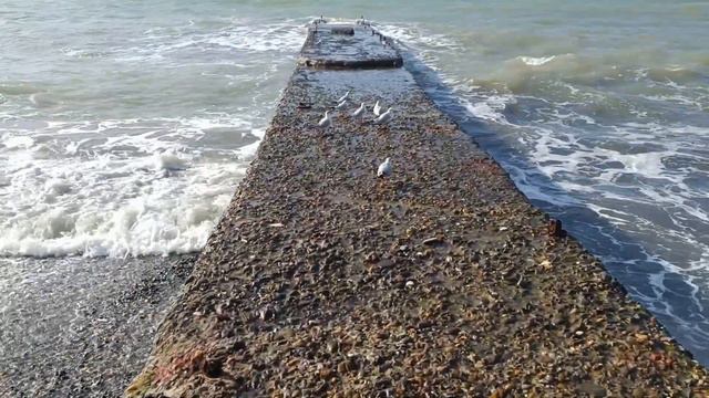 27 января, Черное море 😍 Обзор без слов смотреть онлайн
