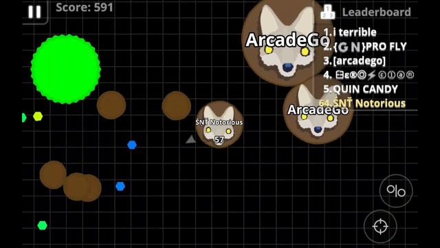 SNT Notorious: Good agario gameplay смотреть онлайн