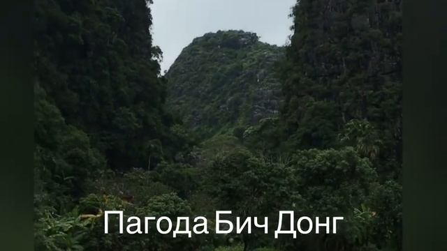 Ханг Муа / храм Бич Донг Птичий парк #Нинь Бинь #Вьетнам #Халонгнасуше #tamkoc #vietnam #ninhbình смотреть онлайн