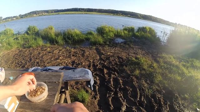 ТАЙФУН. Ловля карася и карпа на платном водоеме на кормушки с ночевкой. Рыбалка в Беларуси. #6 смотреть онлайн