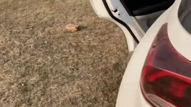 Kia Sonet Speaker test HTX imt 2020 😳 Shocking || नाचने पर मजबउर कर देगा // शानदार आवाज़ 😎 смотреть онлайн