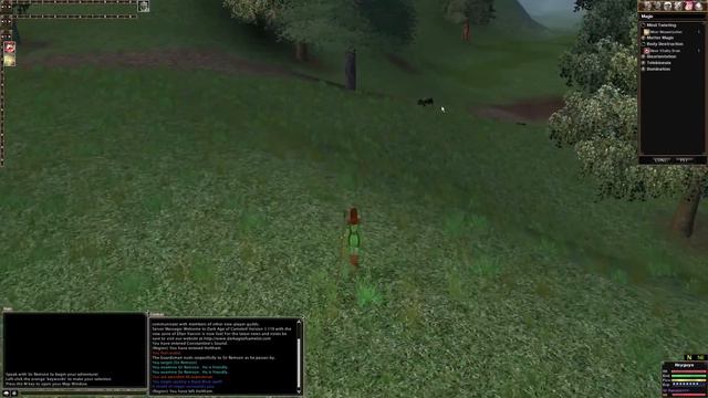 How to bind magic spells - Dark Age of Camelot смотреть онлайн