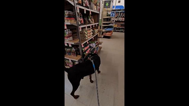 BATH AT PET SMART смотреть онлайн