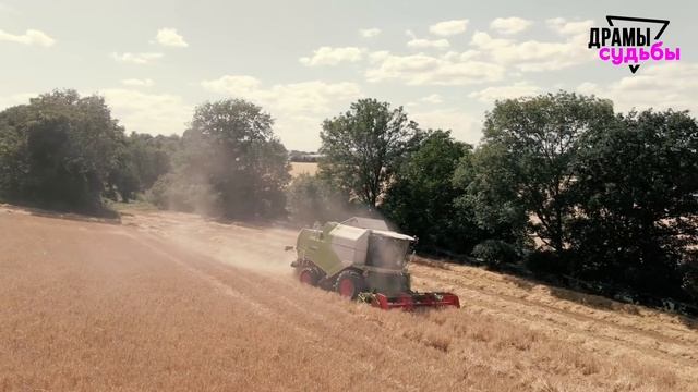 Месть жене за измену: Укоротил любовнику причендалы! смотреть онлайн