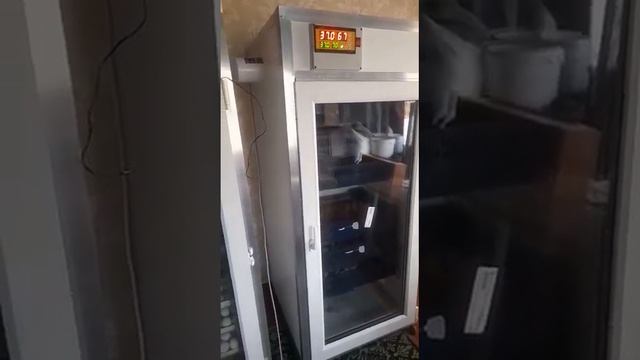 Отзыв от клиента о нашем инкубаторе "Бони" и выводном шкафу "Бонита" смотреть онлайн