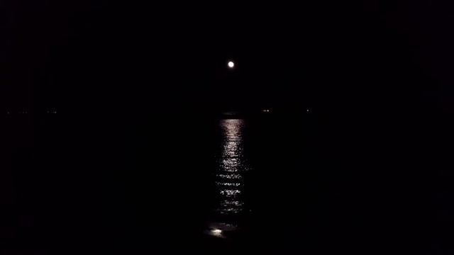 Эндрю Дональдс  Луна и Море