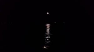 Эндрю Дональдс  Луна и Море