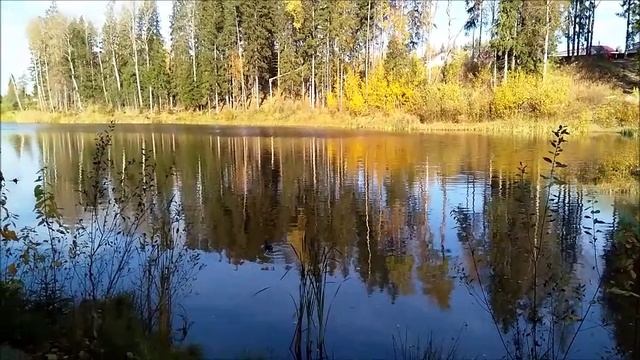 У озера или Где-то,  рядом с Петербургом. Осень