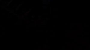 Двигатель ГАЗ-560 "Steyr", установка ремня ГРМ