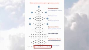 Почему не работает методика Л Г  Пучко, часть 3