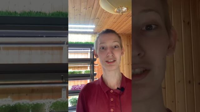 Бизнес для тупых!? смотреть онлайн