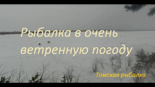 Субботняя поездка за удовольствием (Saturday trip for pleasure)/ ЕЛЕЦ на безмотылку