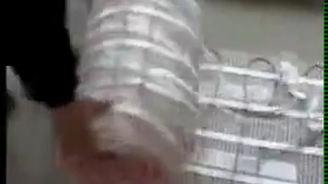 Монтаж теплого пленочного пола смотреть онлайн
