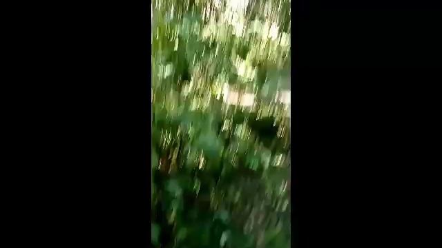 Нашли кошку в лесу!!! смотреть онлайн