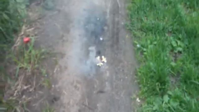 Р 6001 Оса смотреть онлайн