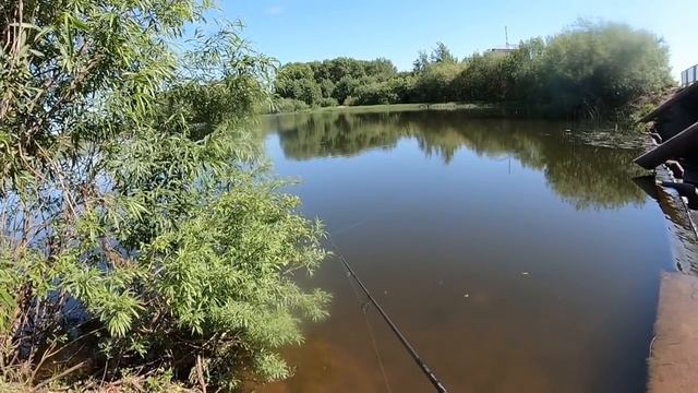 Дневники начинающего спиннингиста | Под мостиком ) #GoProHero7Black смотреть онлайн