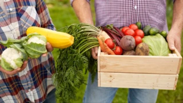 Аудирование . Дача . Винительный падеж существительных смотреть онлайн