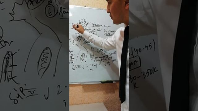 Биологиядан қосымша акция! ? смотреть онлайн