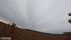 не ОХОТА на гуся!!!! охота на гуся осень 2023.