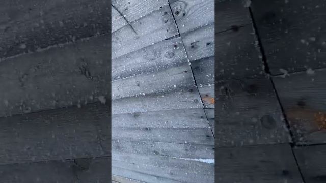 Охота Рыбалка в Ханты-Мансийске смотреть онлайн