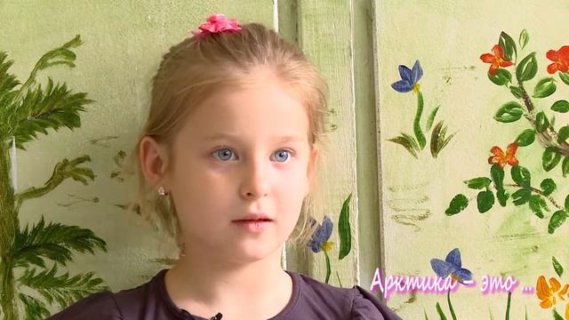 Что такое Арктика глазами детей? смотреть онлайн